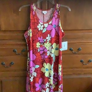 Pretty LuLaRoe Dani Dress